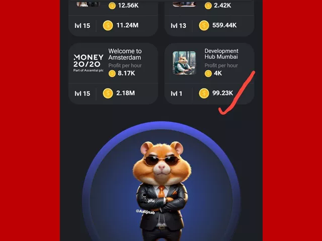 نحوه باز کردن قفل کارت Development Hub mumbai با پروفیت بالا