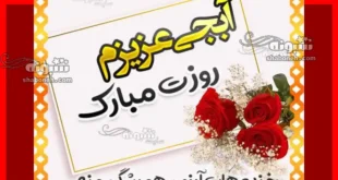 متن و پیام تبریک روز خواهر 1403 به خواهرانم مبارک +کلیپ استوری