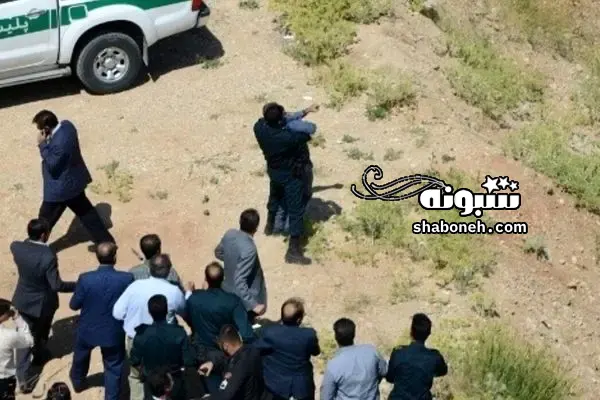 بیوگرافی آمنه چوپانی (جانه) زن اهل سلماس و همسرش + ماجرای قتل