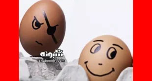 حسود کهنه یعنی چه و به چه کسی میگویند