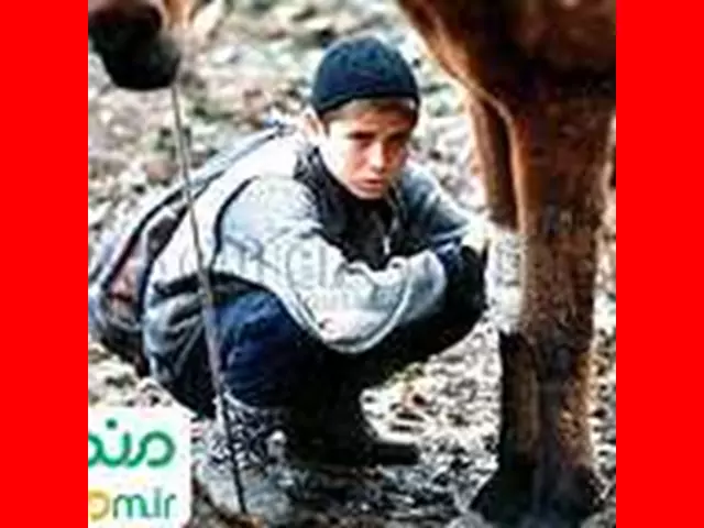 اسامی بازیگران فیلم چوپان دروغگو (سینمایی) +بیوگرافی و عکس