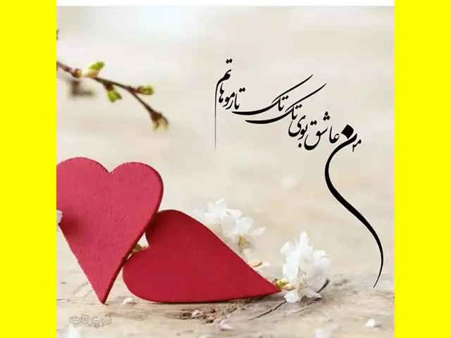 100 پیام و متن تبریک روز دوست پسر مبارک به عشقم + کلیپ استوری