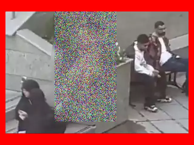 بیوگرافی آهو دریایی ماجرای برهنه شدن دختر در دانشگاه علوم و تحقیقات