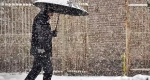 تعطیلی مدارس فردا یکشنبه ۹ دی 1403 مشخص شد +جزئیات