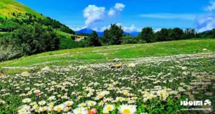 سریال سوجان در کجا فیلمبرداری شده است؟ لوکیشن کجاست؟