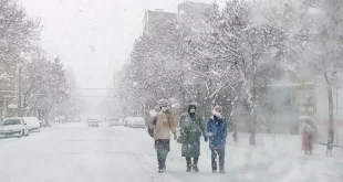 تعطیلی مدارس فردا یکشنبه ۱۶ دی ۱۴۰۳ مشخص شد +جزئیات