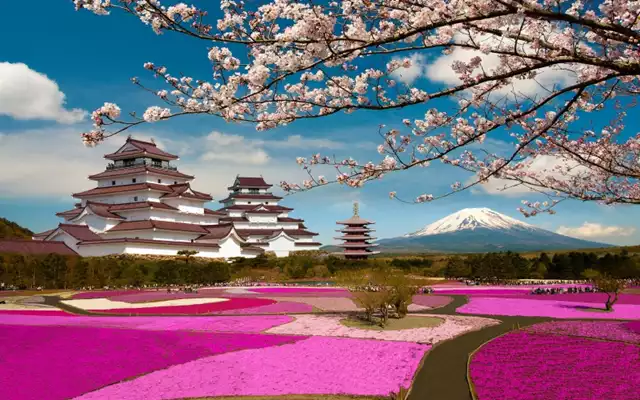 نکاتی که قبل از سفر به ژاپن باید بدانید