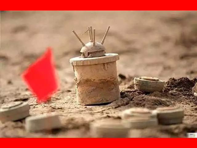 بیوگرافی ستوان محمد سلیمی افسر ارتش +ماجرای شهادت