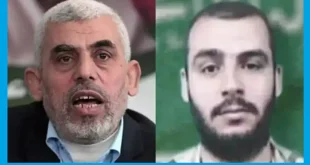 بیوگرافی محمد سنوار برادر یحیی سنوار +ماجرای شهادت