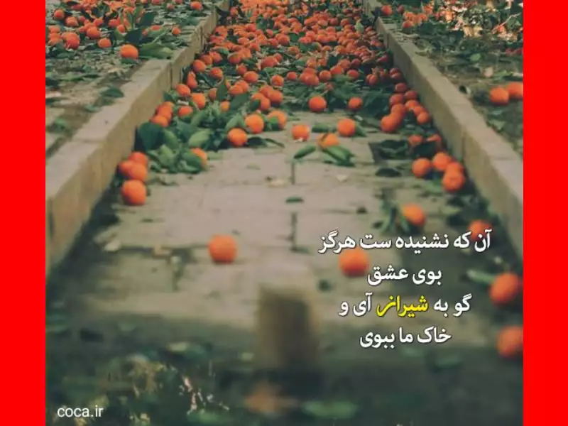 متن و پیام تبریک روز شیراز مبارک + عکس نوشته استوری