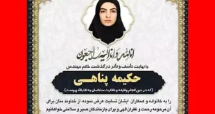 بیوگرافی حکیمه پناهی مهندس ناظر و ماجرای سقوط و مرگ