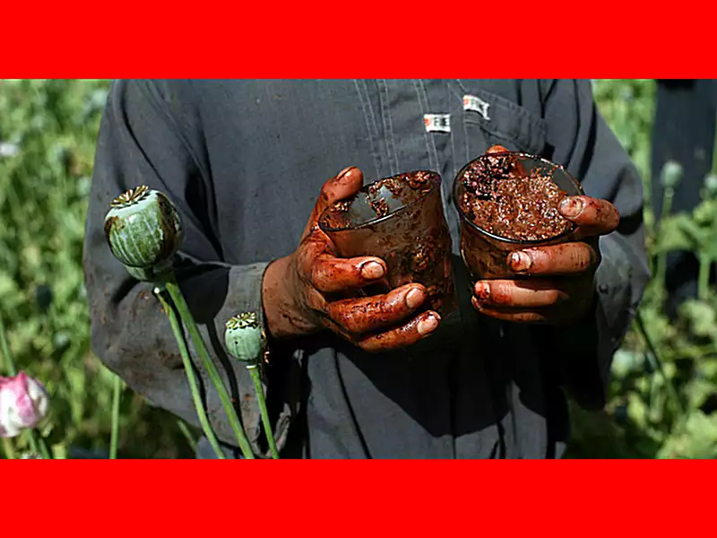 ماجرای تریاک رفسنجان و علت مصرف بالای تریاک در رفسنجان